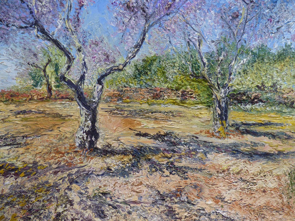 "Olive Groves"