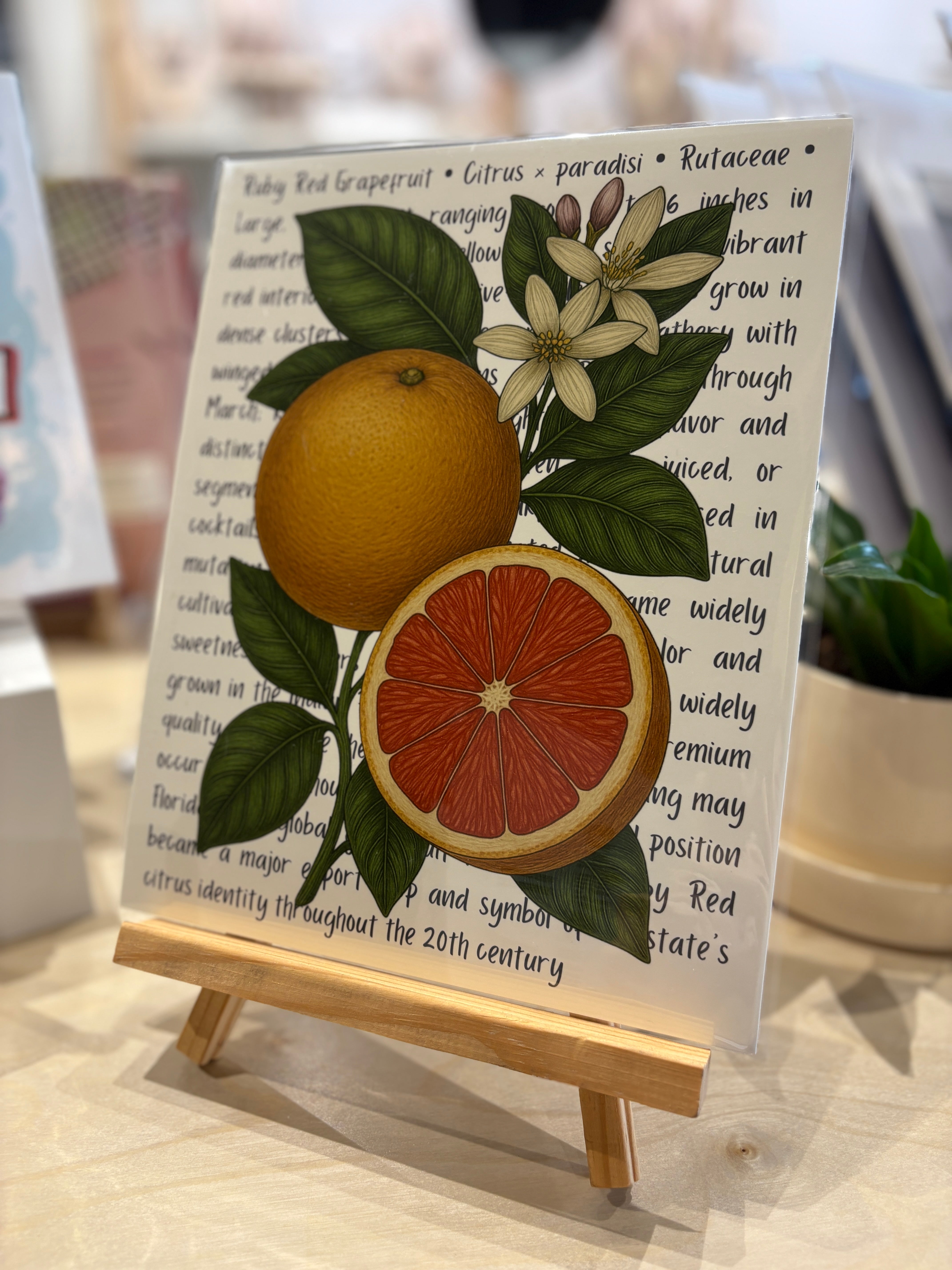 Florida Field Guide (Artist Proofs)