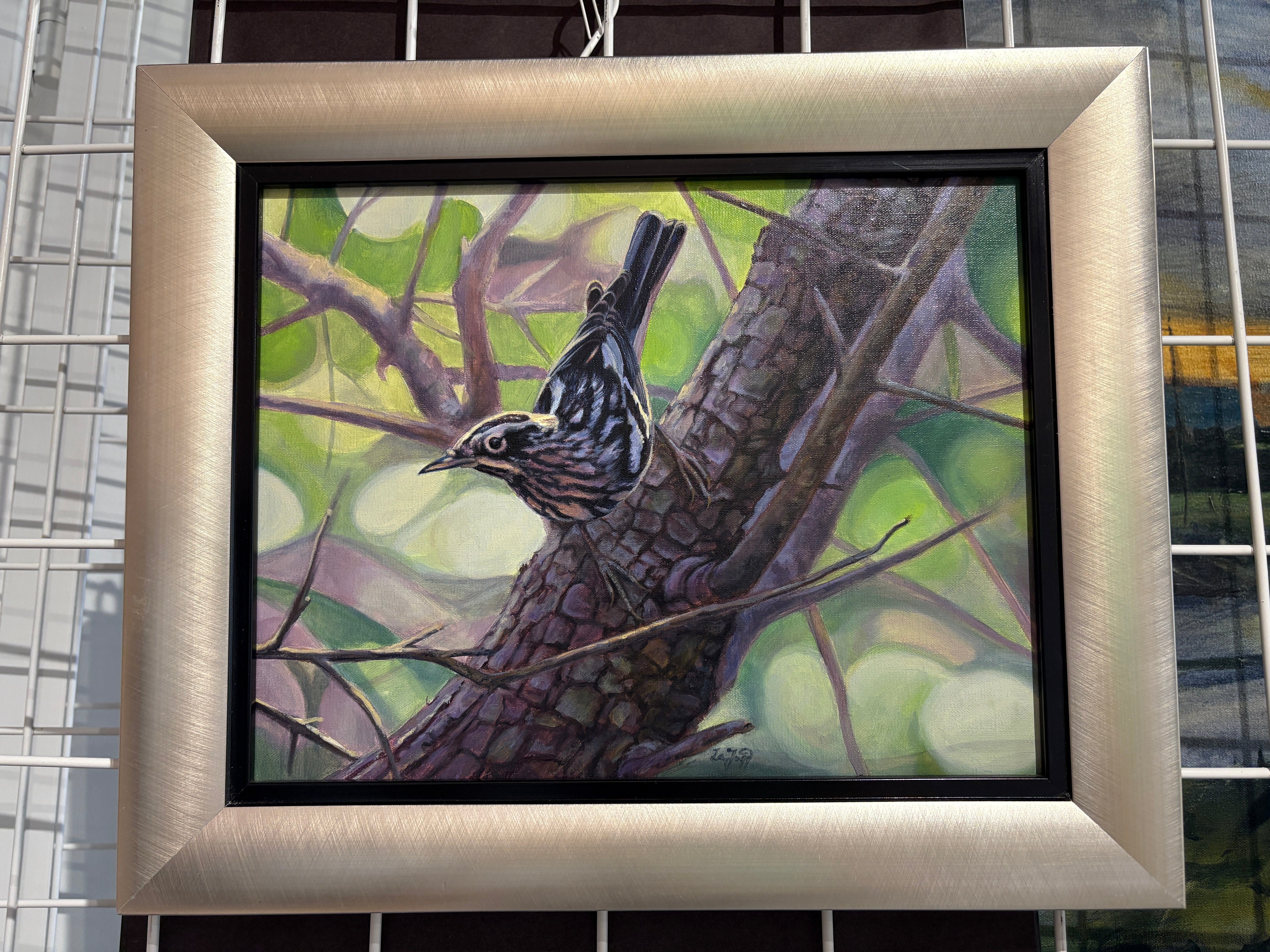 Black and White Warbler