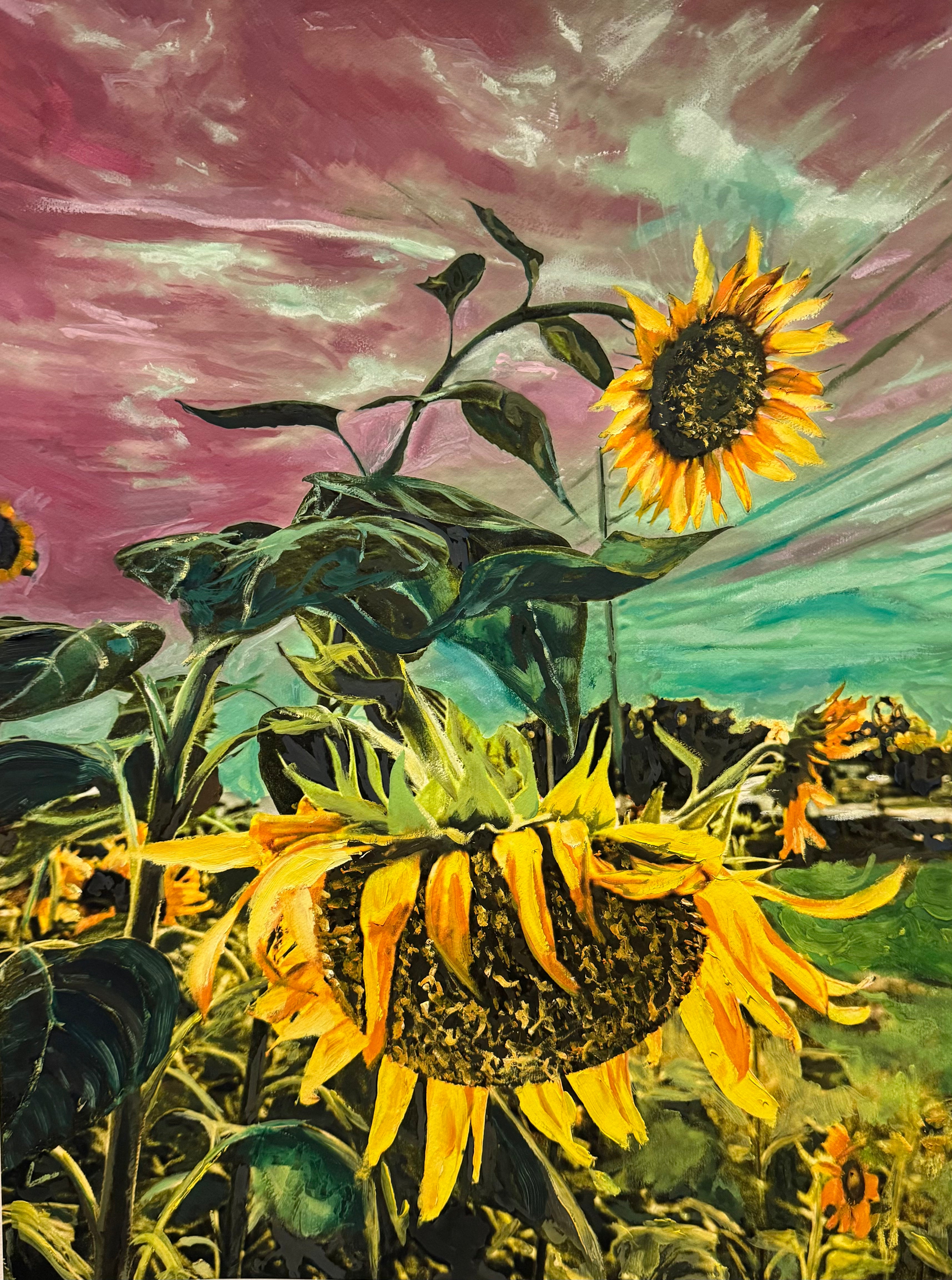 Toxic Sunflower