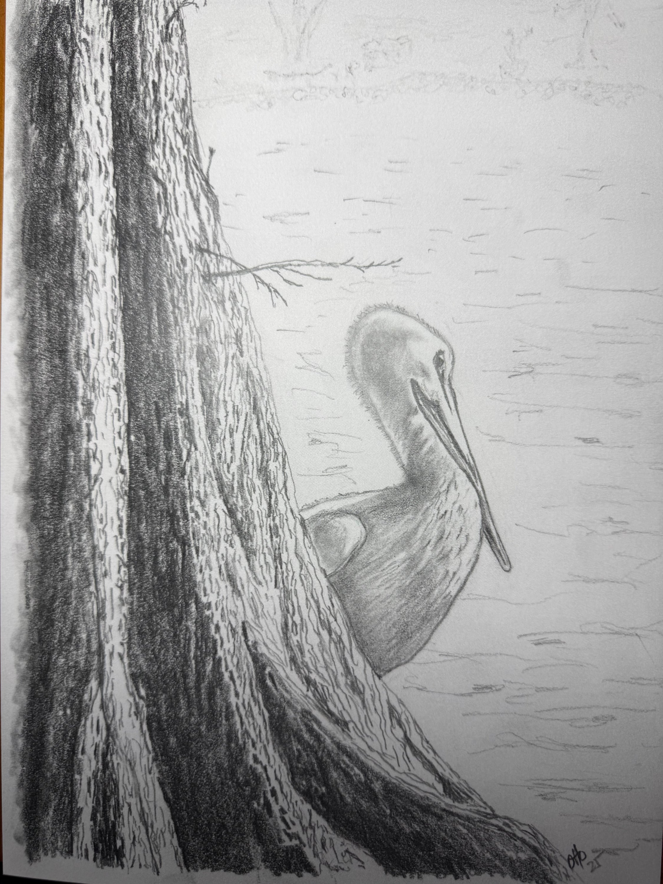 Pelly—Lake Morton