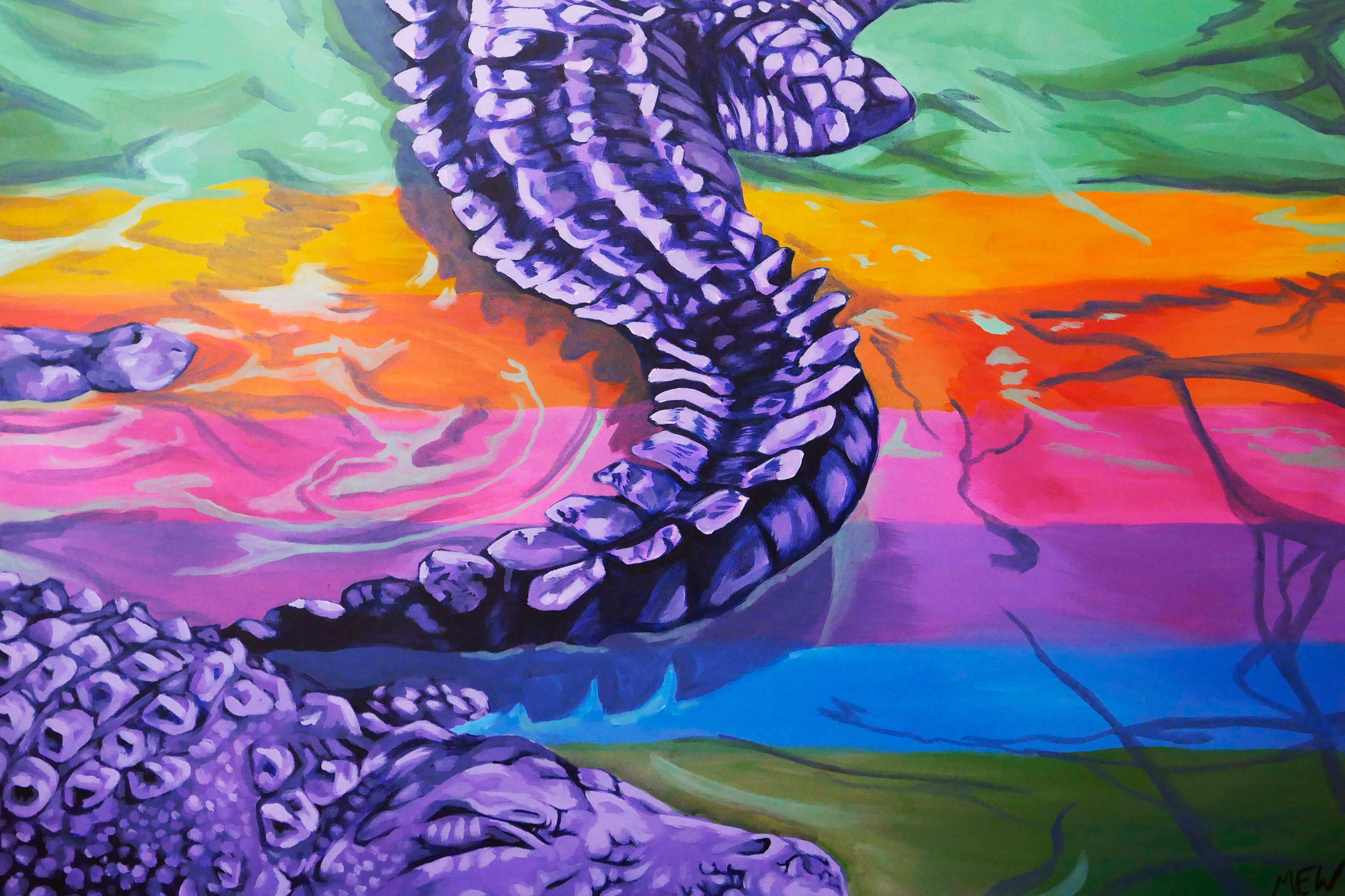 Rainbow Swamp
