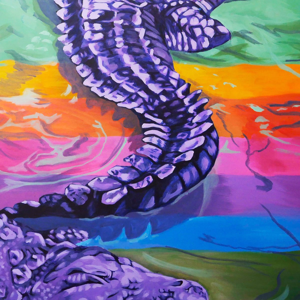 Rainbow Swamp