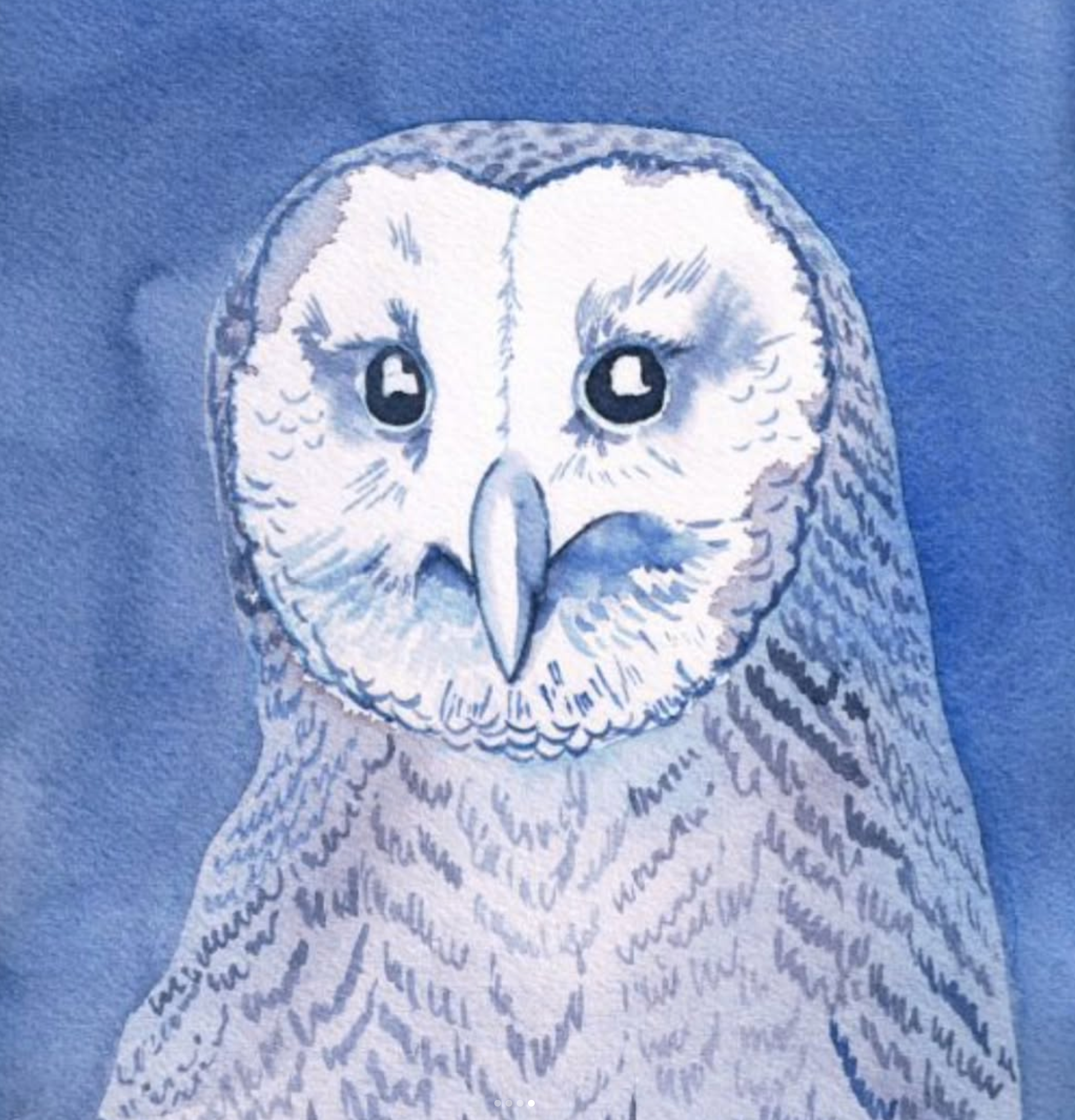 Jan 17 Watercolor Basics with Katrina Evans