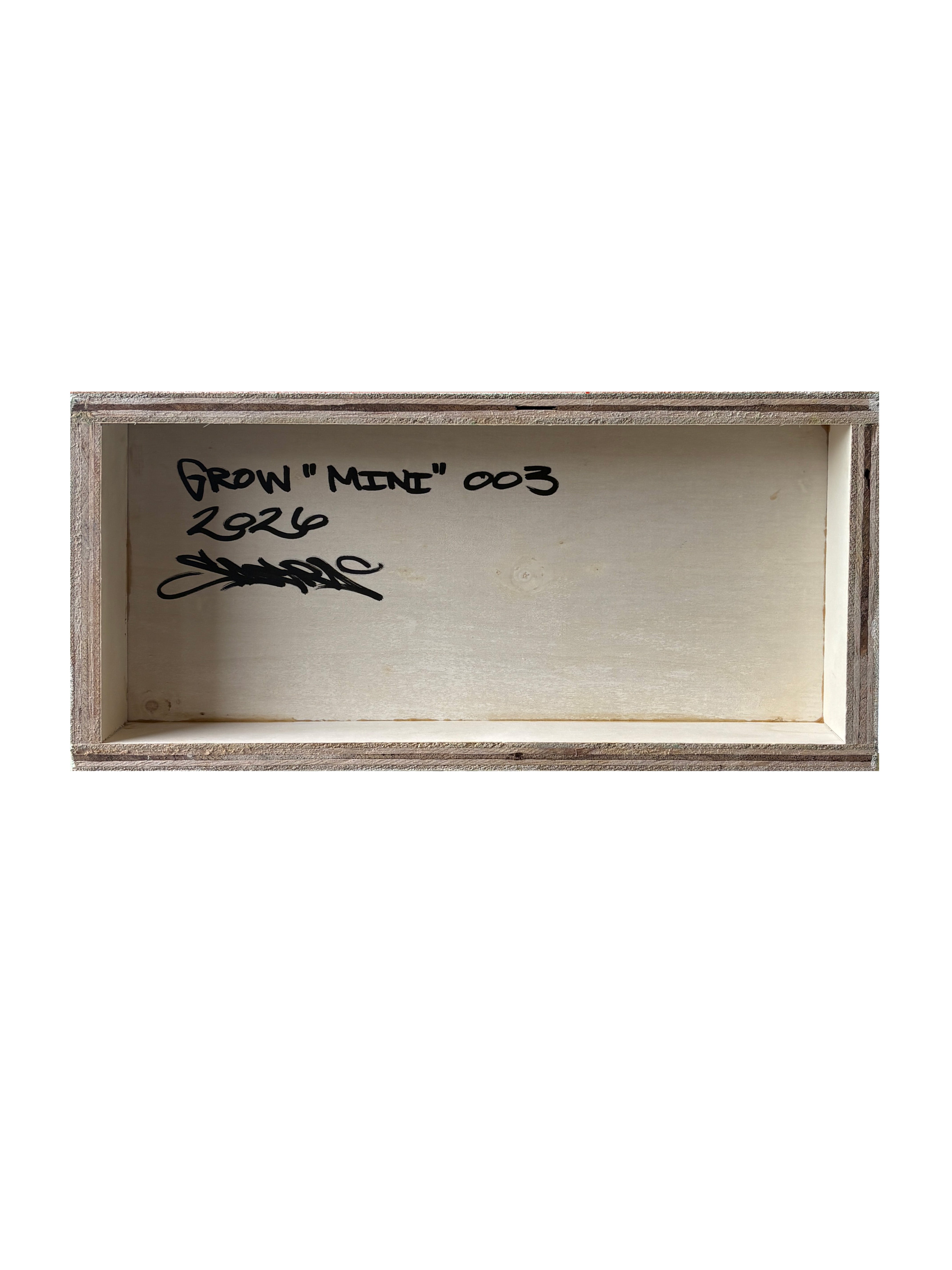 Mini Originals | Craig Sacra