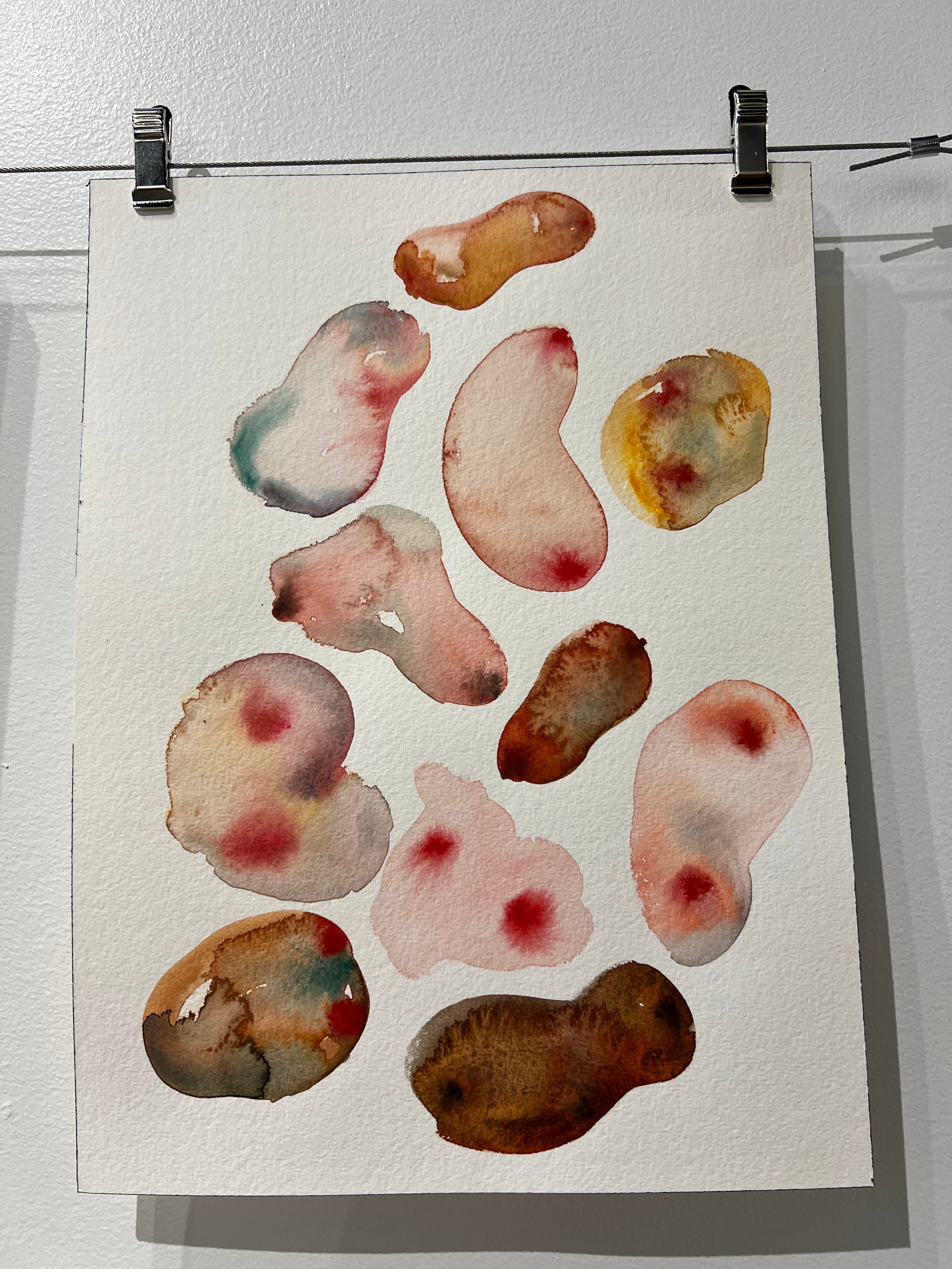 Boobies No. 2