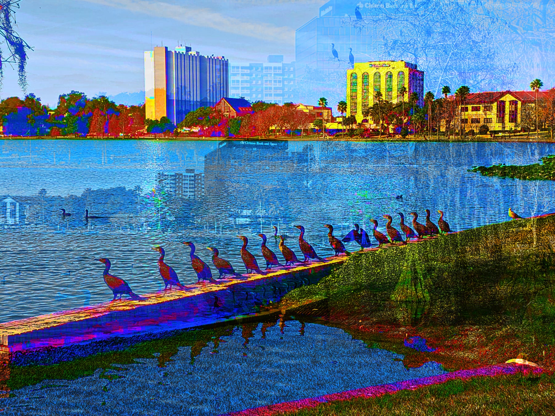 Greetings from the Tapiocas