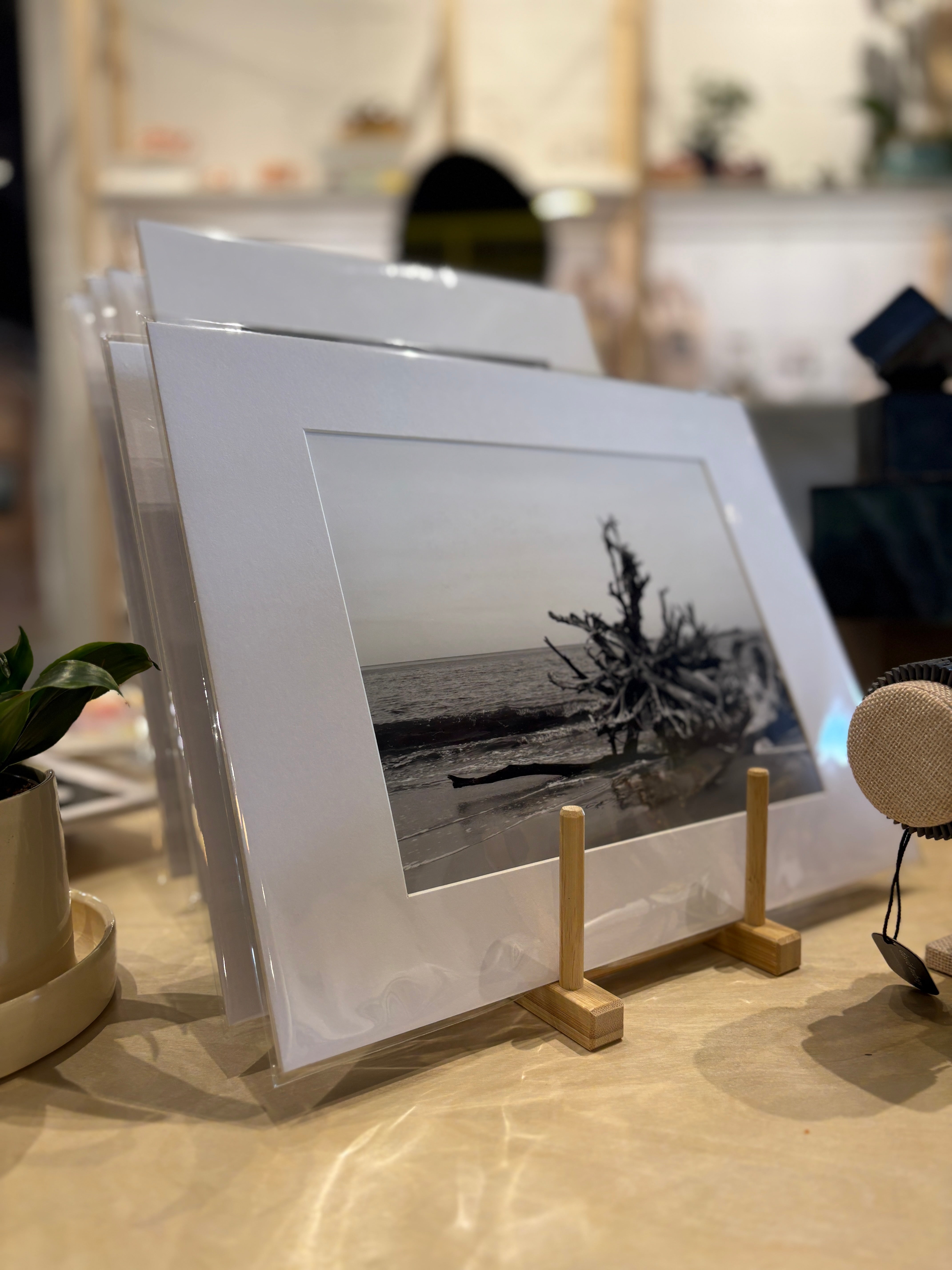 Amanda McCallister Photography