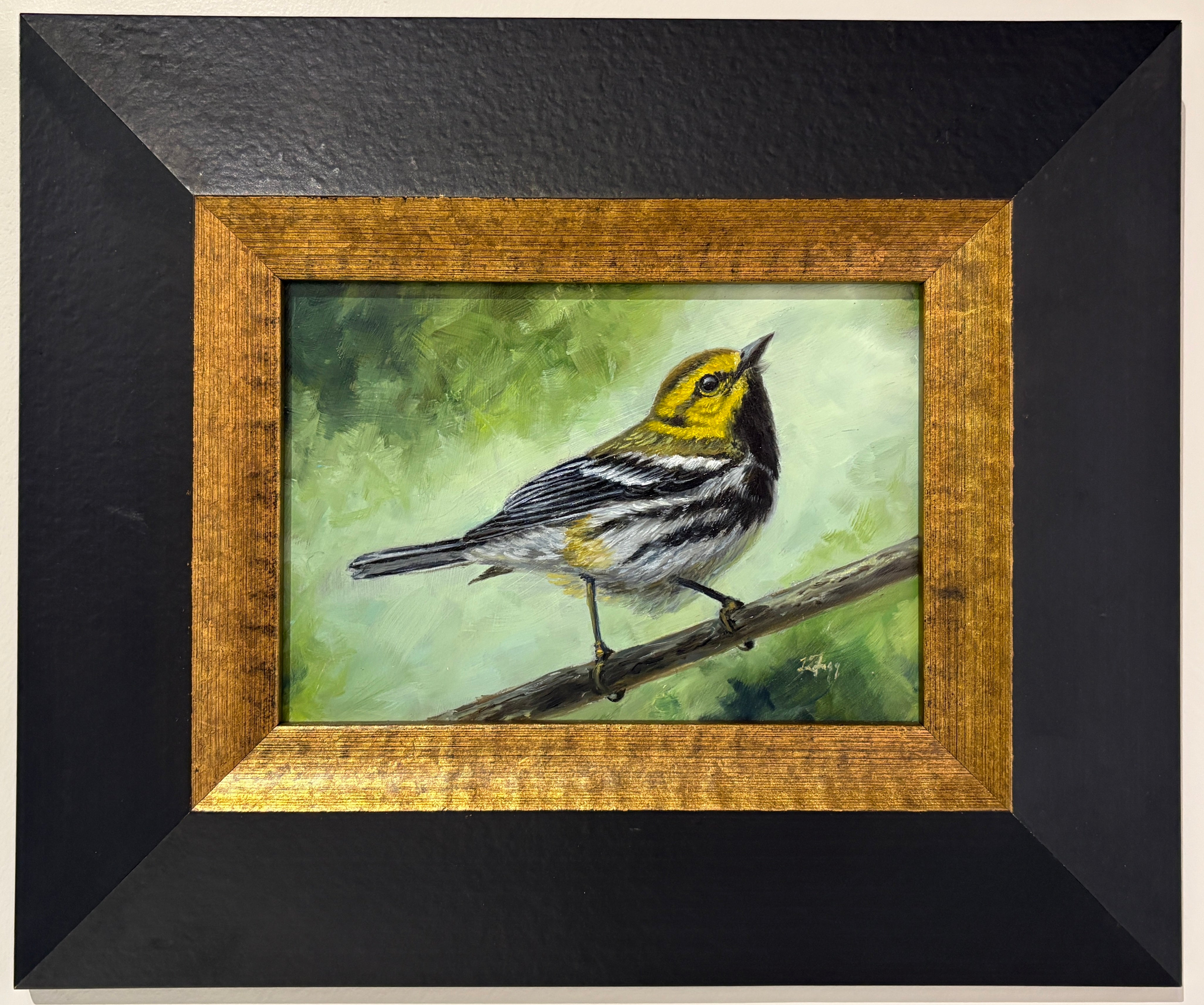 Black Winged Green Warbler