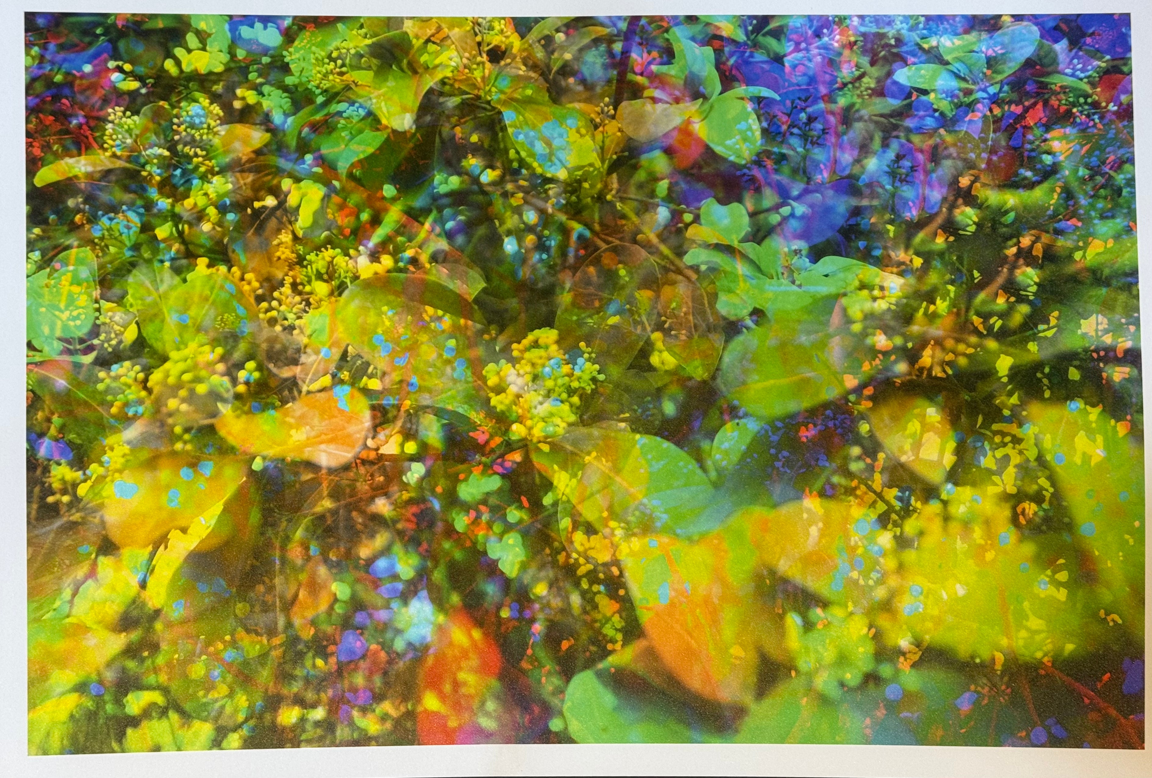 LEAVES