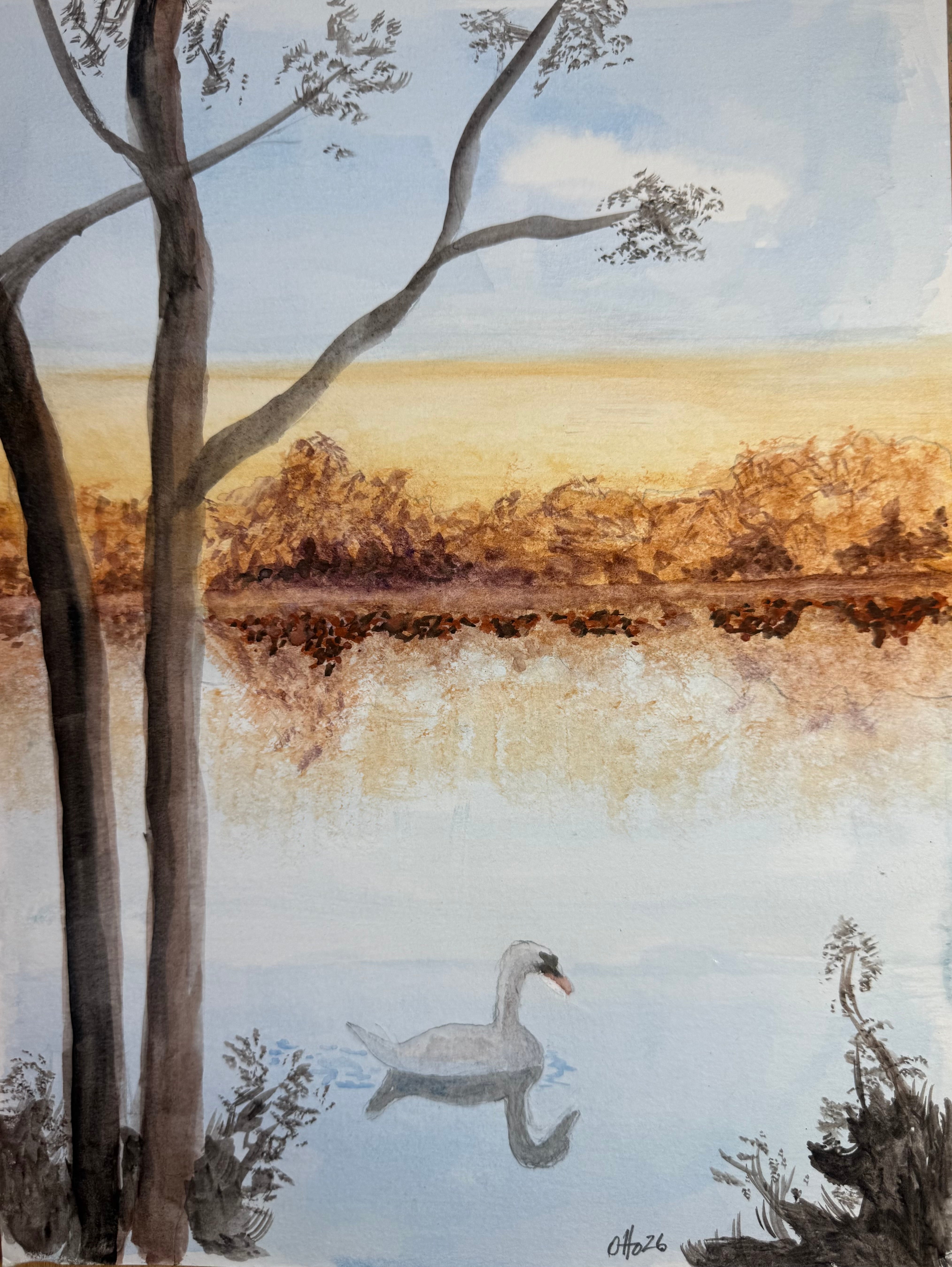Swan Lake