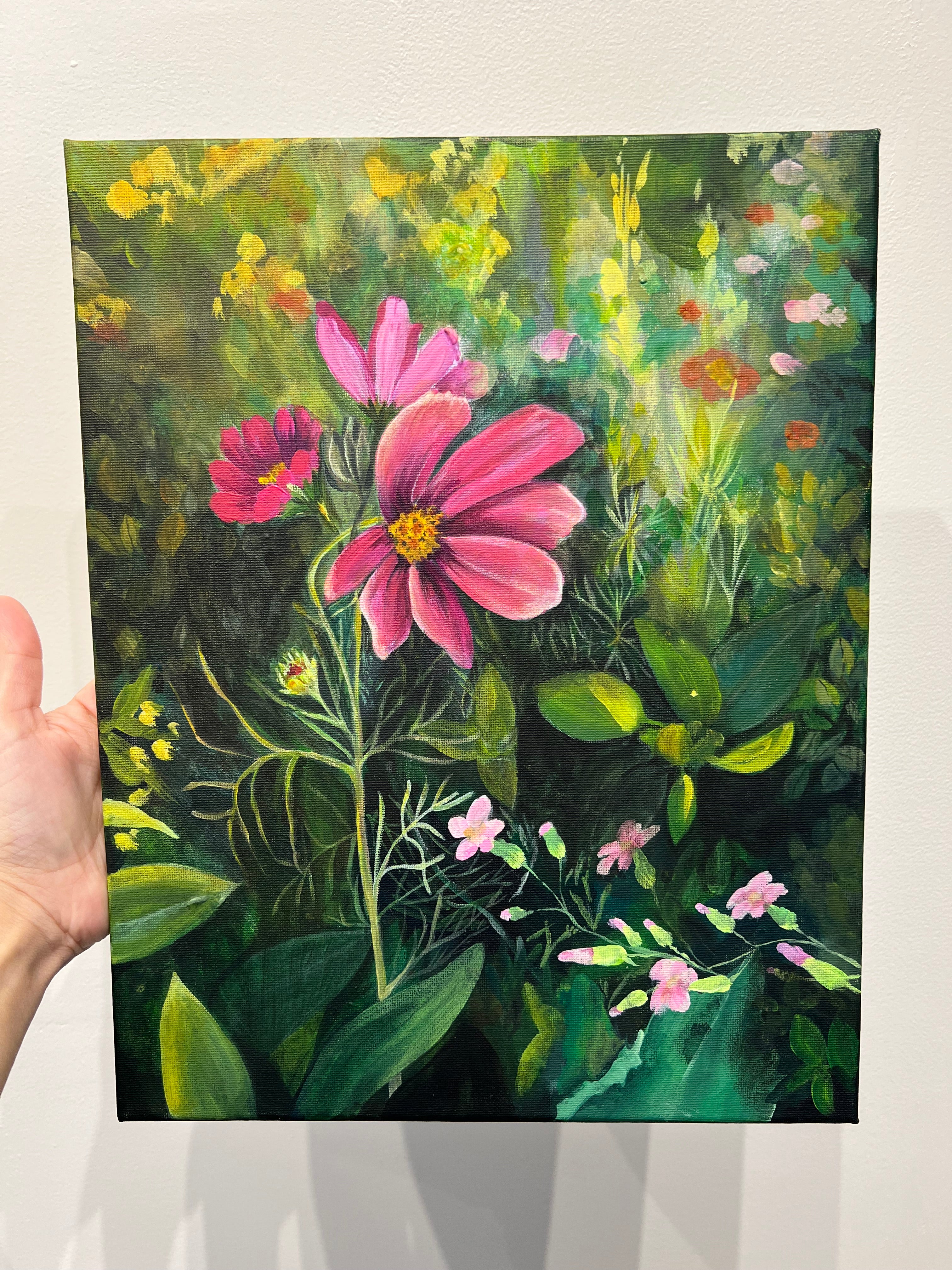 Sally's Garden
