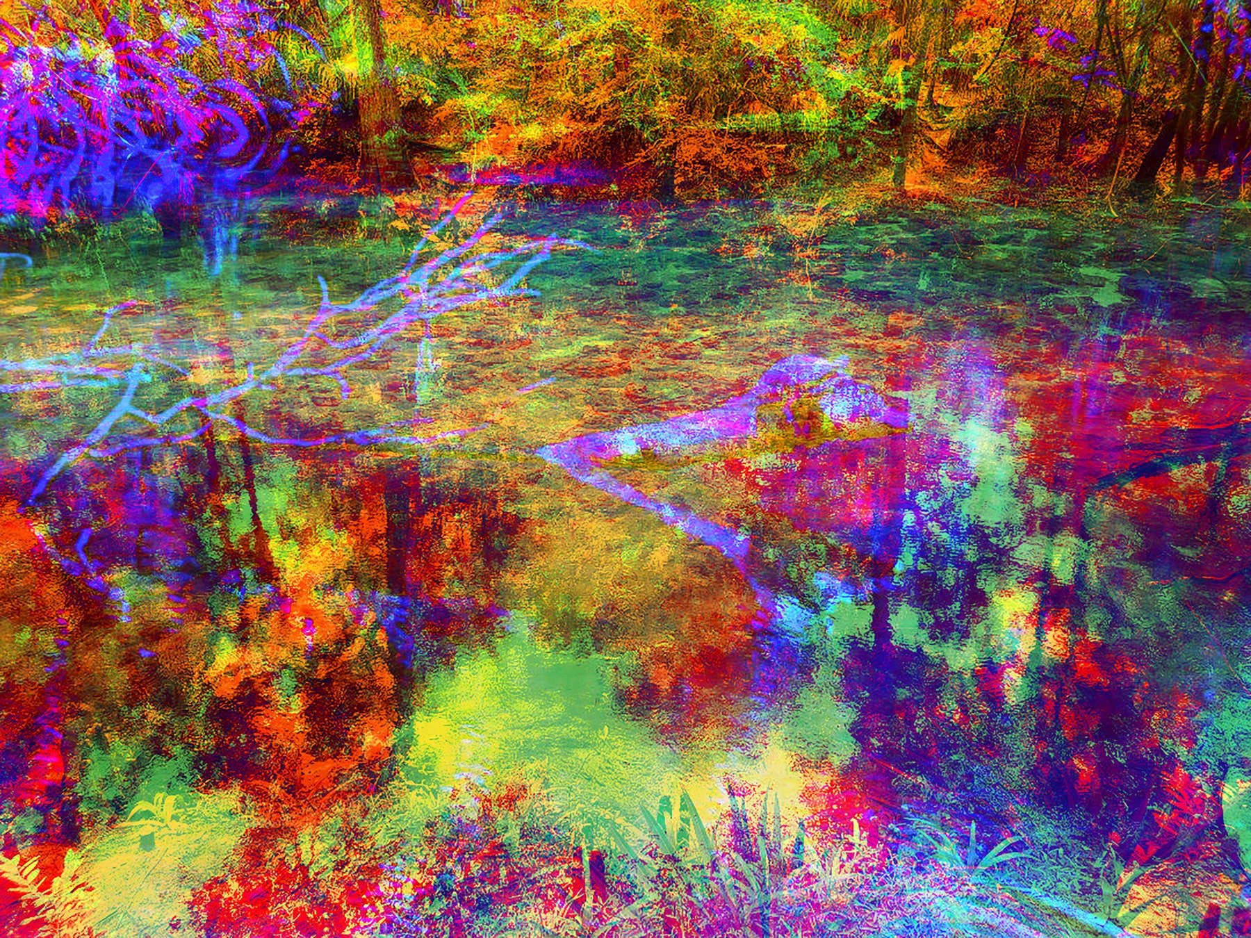 I Spy A Teal Turtle (Artist Reproduction)