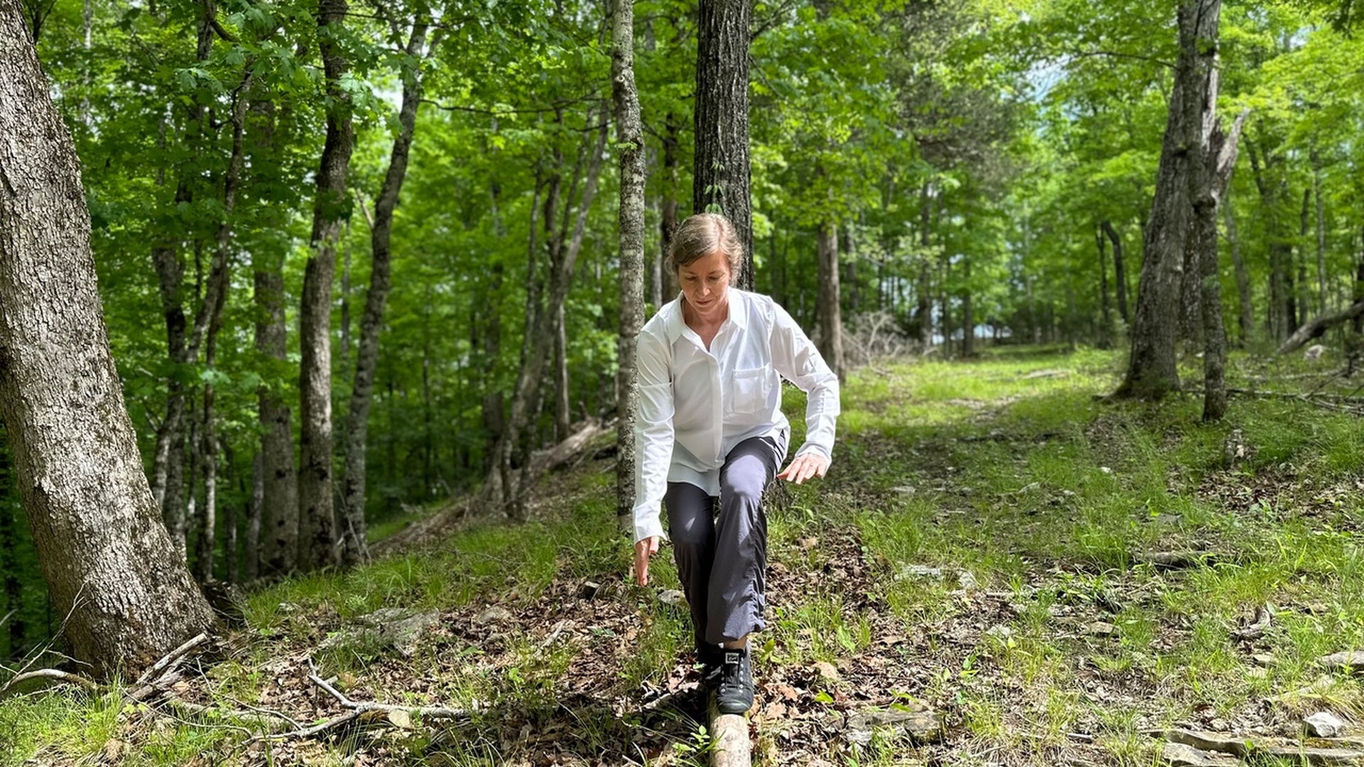 Mar 23 "Tai Chi In the Park @ Notta Gallery" with Frankie Hart